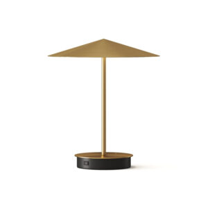 Gold Metal Decorative Lamp